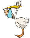 storch_klein storch_klein